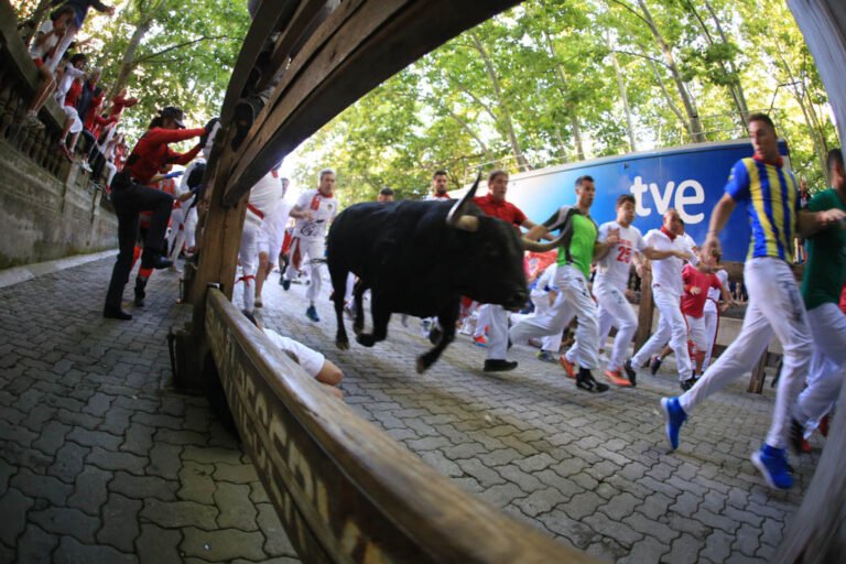 Informacion-de-animales-para-el-encierro-de-Sanfermin-2023.jpg
