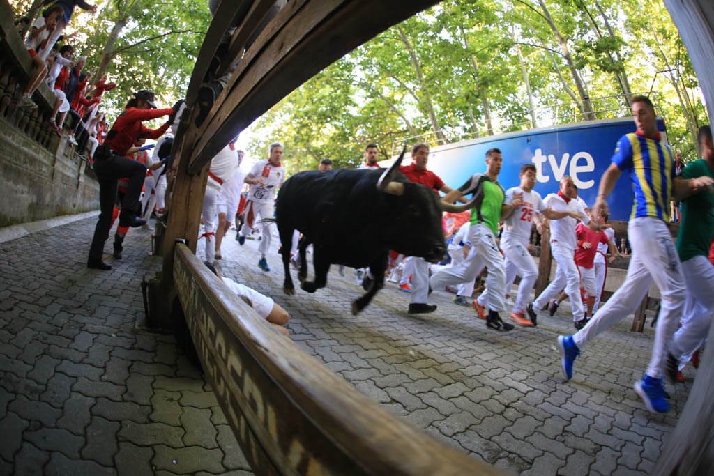 Información de animales para el encierro de Sanfermin 2023