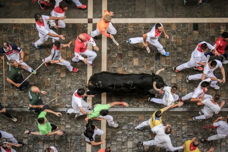 Urbanismo en Pamplona: proyectos y licencias